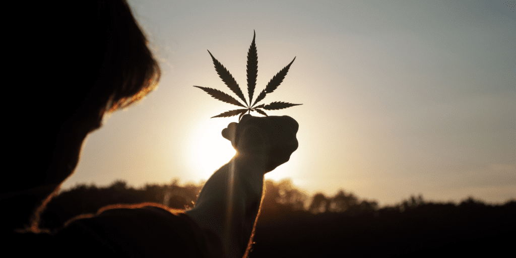 CBD and CBG differences photo by david gabric
